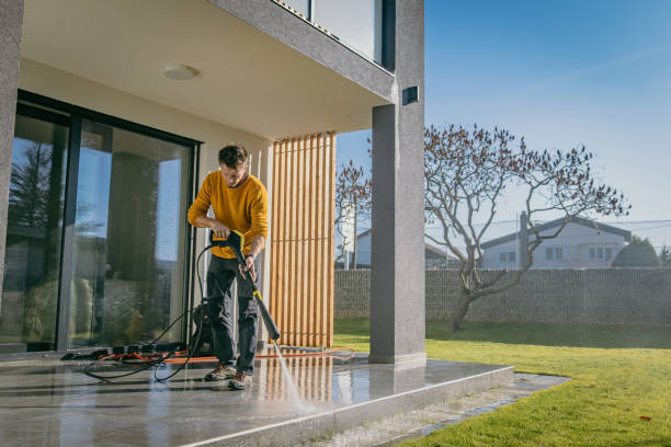 Best Driveway Cleaning and Restoration in Long Creek, IL